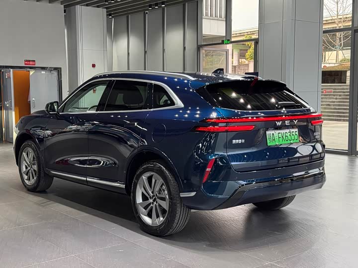 Фото 6 - Wey Mocca Hybrid