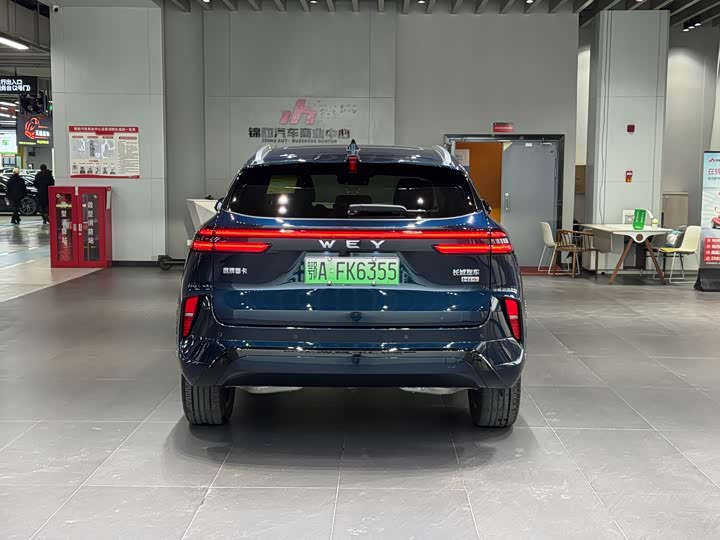 Фото 7 - Wey Mocca Hybrid