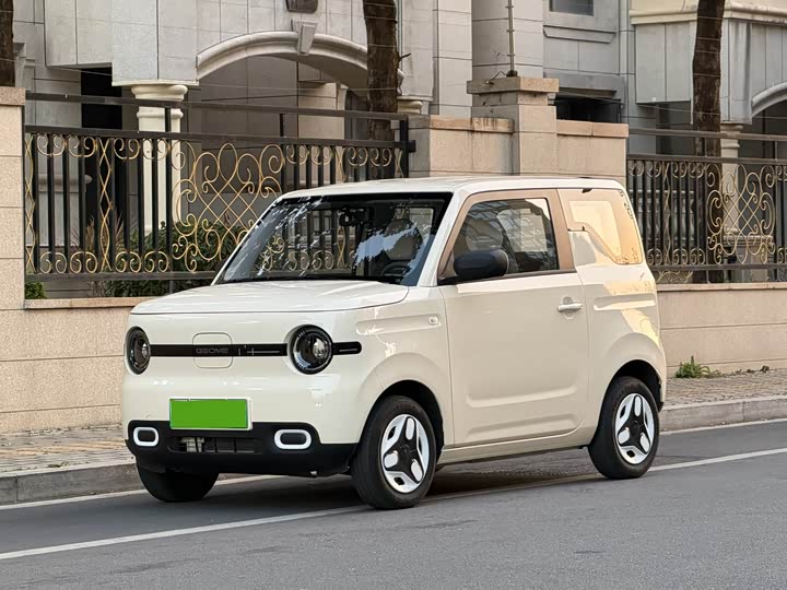 Фото 1 - Geely Galaxy Panda Mini