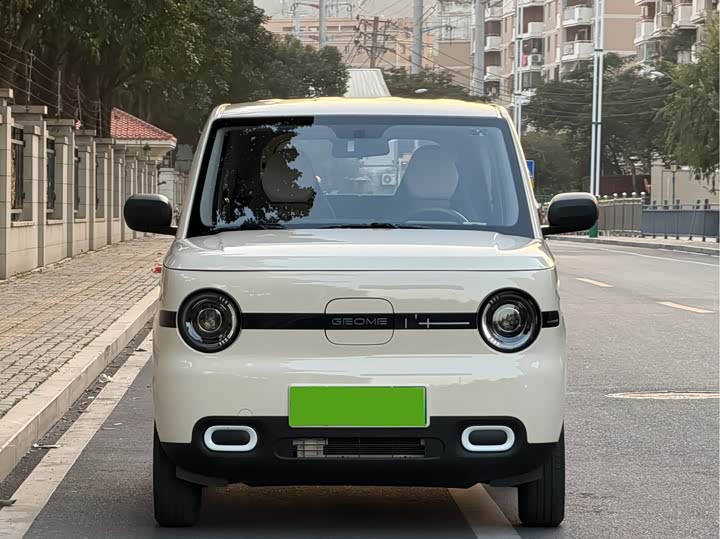 Фото 2 - Geely Galaxy Panda Mini
