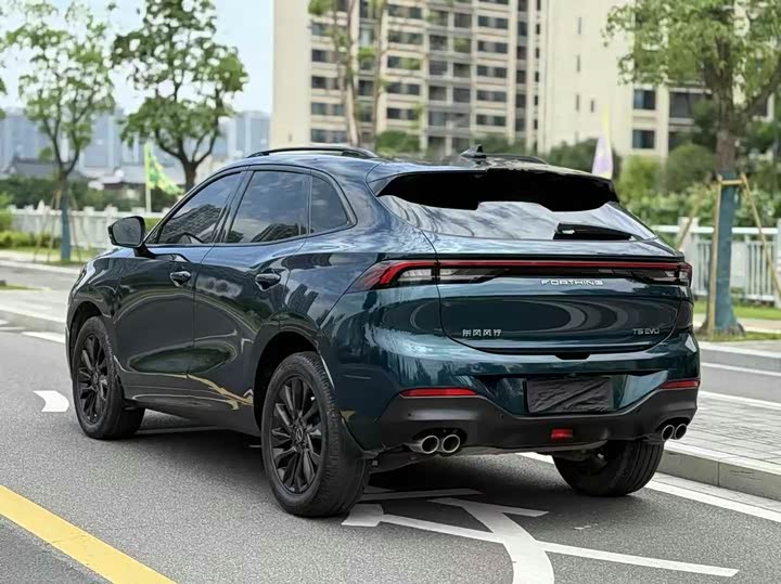 Фото 7 - Dongfeng Forthing T5 EVO