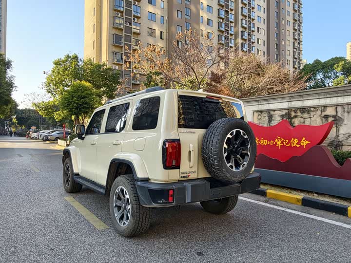 Фото 4 - Tank 300 Hybrid