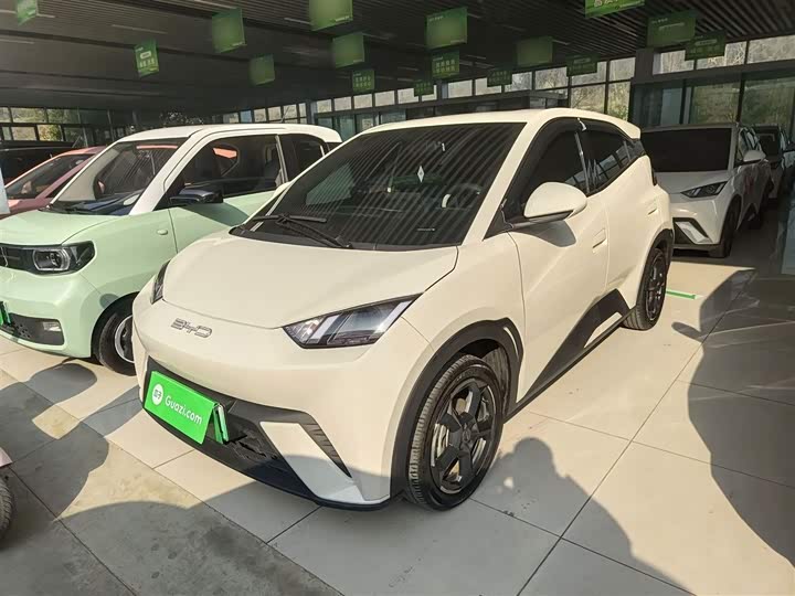 Фото 2 - BYD Seagull