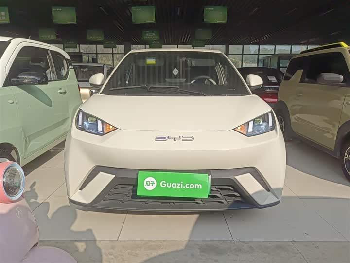 Фото 3 - BYD Seagull