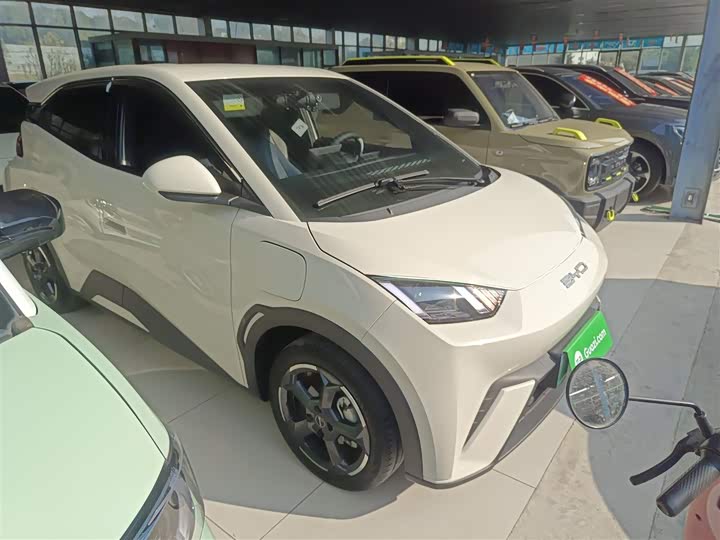 Фото 4 - BYD Seagull