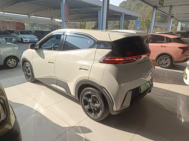 Фото 5 - BYD Seagull