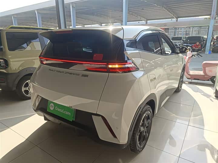 Фото 7 - BYD Seagull