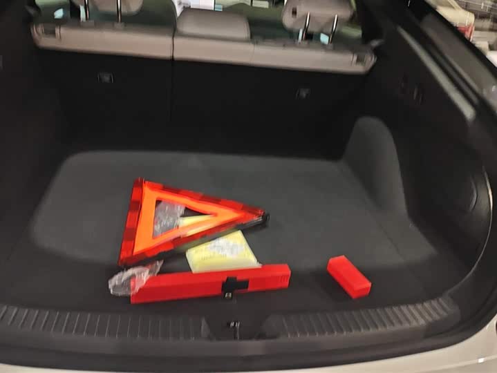 Фото 4 - XPeng F57