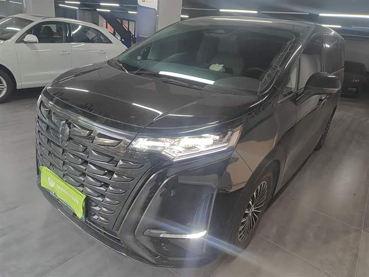 Фото 2 - Denza D9