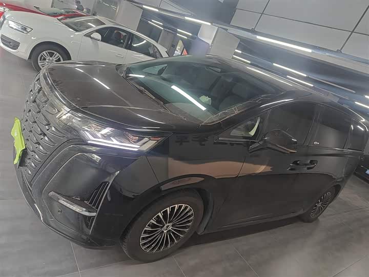 Фото 5 - Denza D9