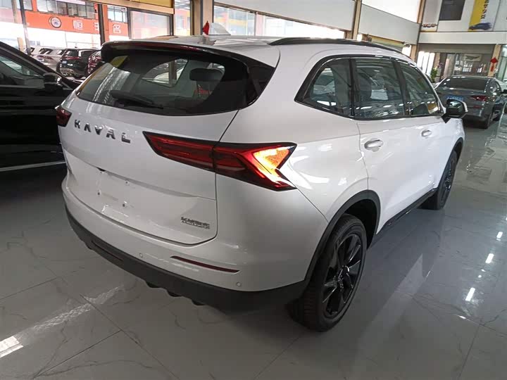 Фото 7 - Haval H6