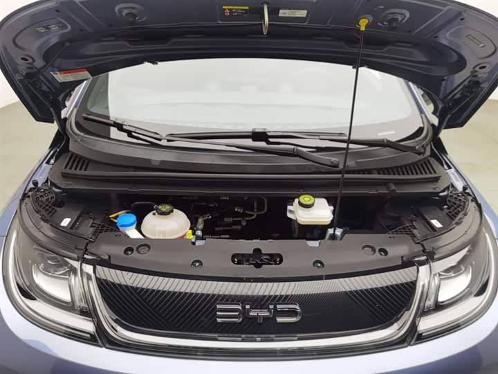 Фото 6 - BYD Dolphin