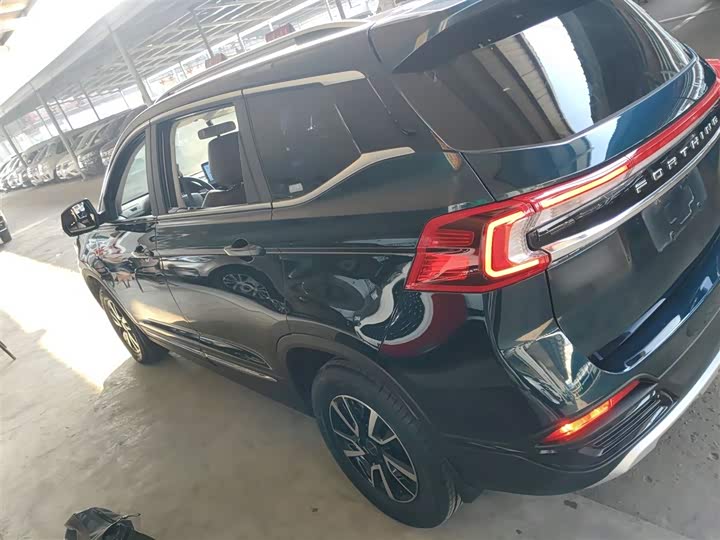 Фото 5 - Dongfeng Forthing T5