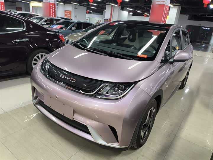 Фото 2 - BYD Dolphin