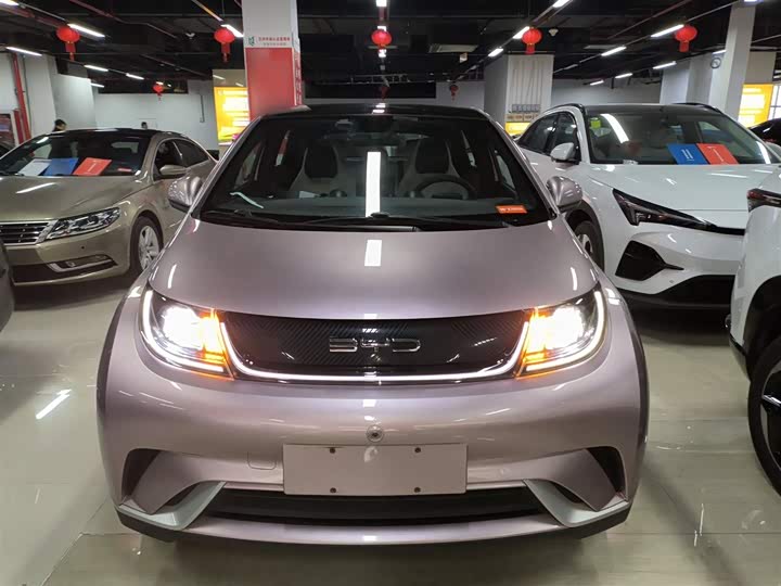 Фото 3 - BYD Dolphin