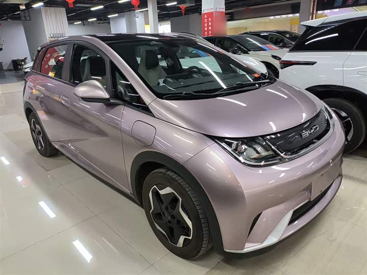 Фото 4 - BYD Dolphin