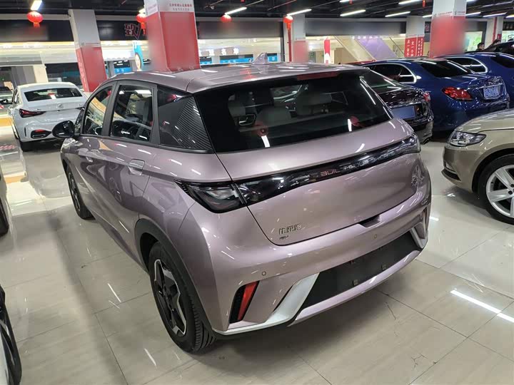 Фото 5 - BYD Dolphin