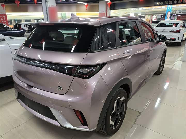 Фото 7 - BYD Dolphin