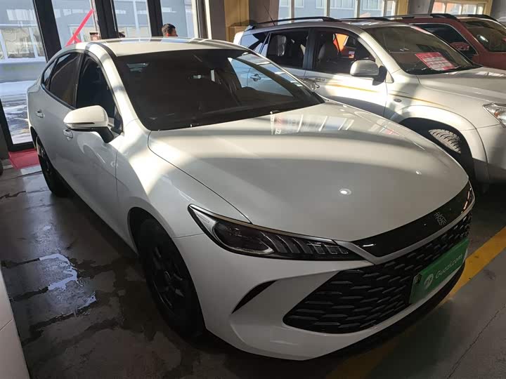 Фото 4 - BYD Qin Plus