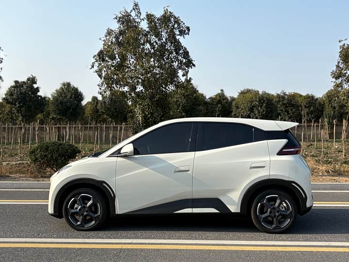 Фото 3 - BYD Seagull