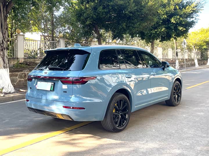 Фото 4 - LiXiang One