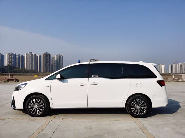 Фото 3 - Buick GL8 ES