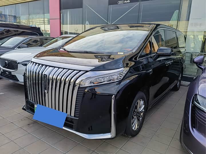 Фото 1 - Wey Gaoshan