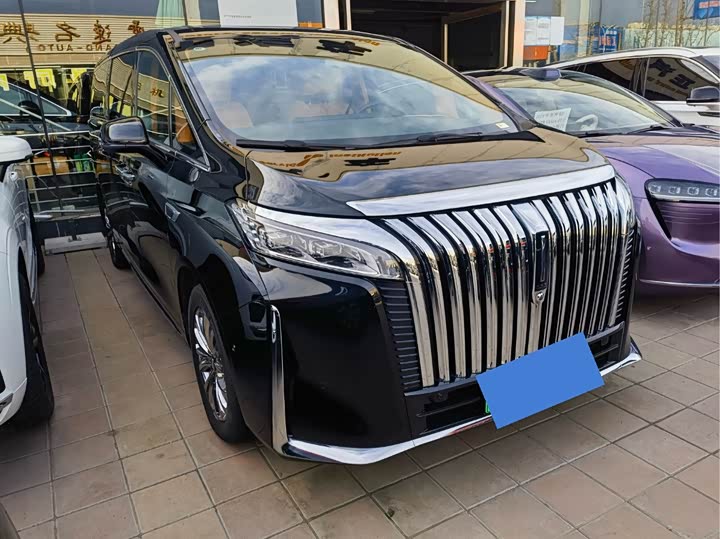 Фото 3 - Wey Gaoshan