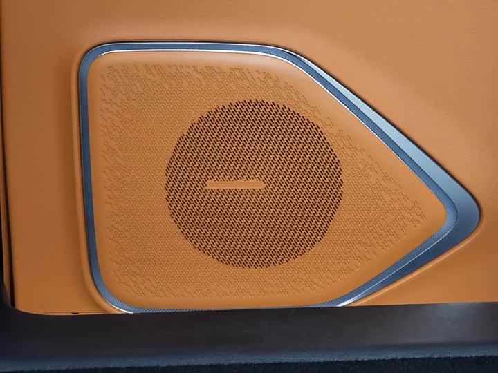 Фото 6 - Wey Gaoshan