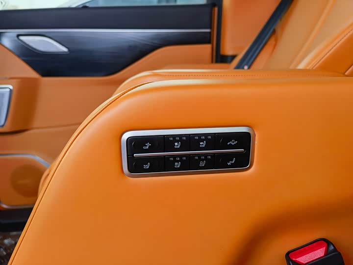 Фото 7 - Wey Gaoshan