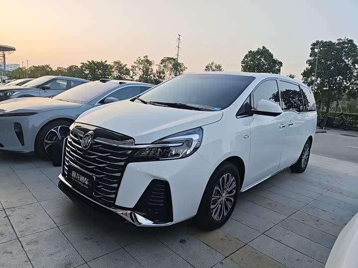 Фото 1 - Buick GL8 ES