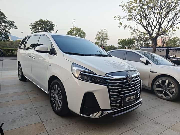 Фото 3 - Buick GL8 ES