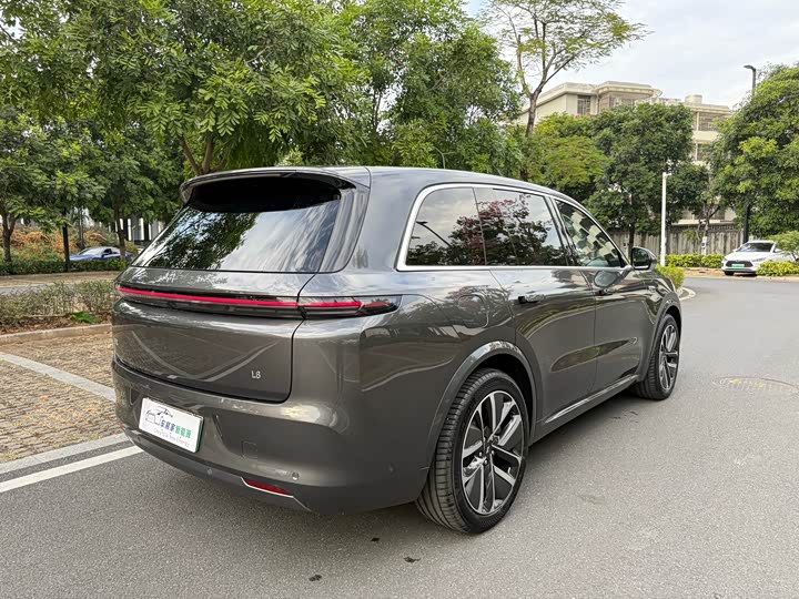 Фото 6 - LiXiang L8