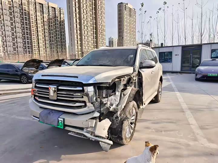 Фото 7 - Tank 500 Hybrid