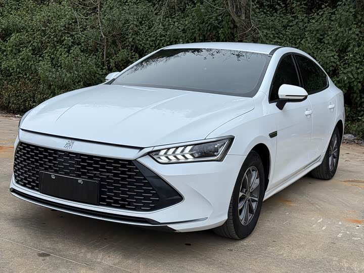 Фото 1 - BYD Qin Plus