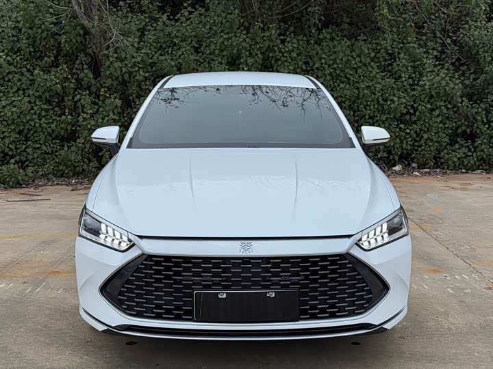 Фото 2 - BYD Qin Plus