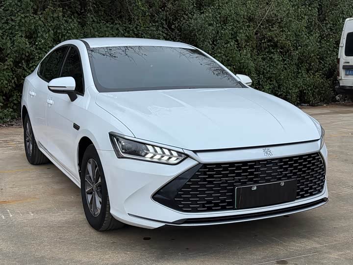 Фото 3 - BYD Qin Plus