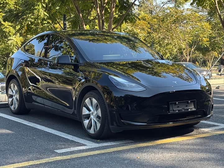 Фото 3 - Tesla Model Y
