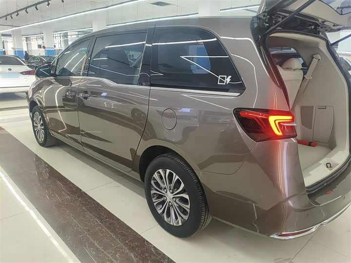 Фото 5 - Buick GL8 ES