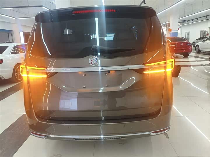 Фото 6 - Buick GL8 ES