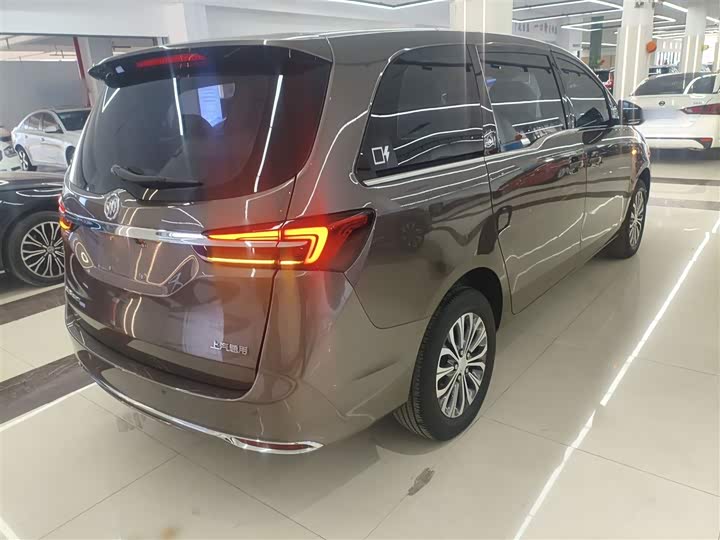 Фото 7 - Buick GL8 ES