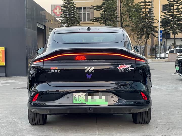 Фото 6 - IM motors LS6