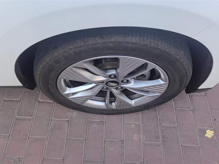 Фото 6 - Bestune NAT