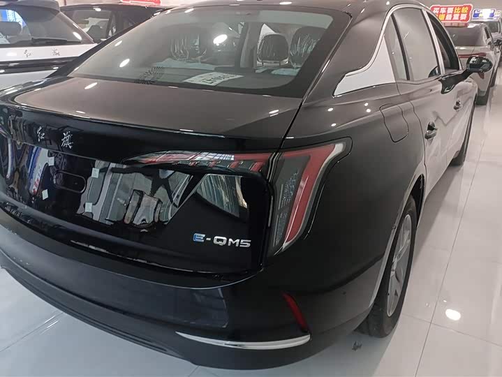 Фото 3 - Hongqi E-QM5