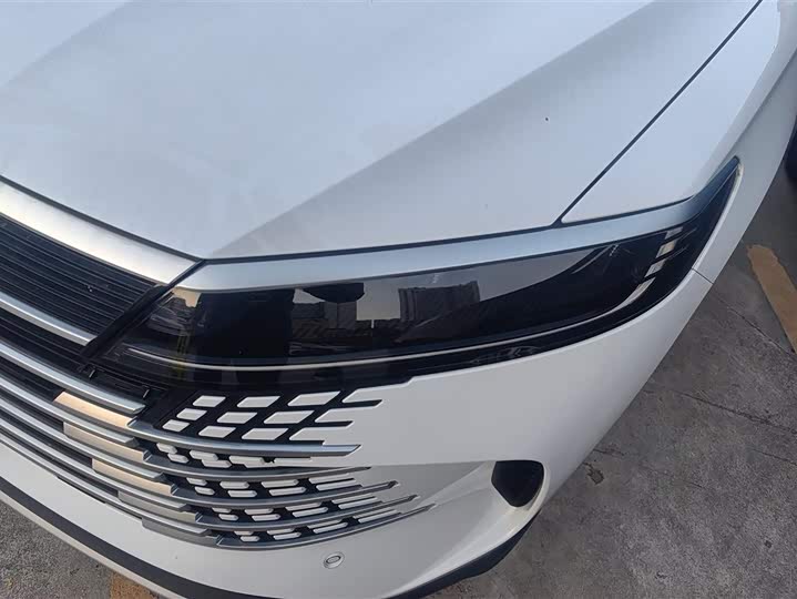 Фото 5 - BYD Sea Lion 05 DM-i Hybrid