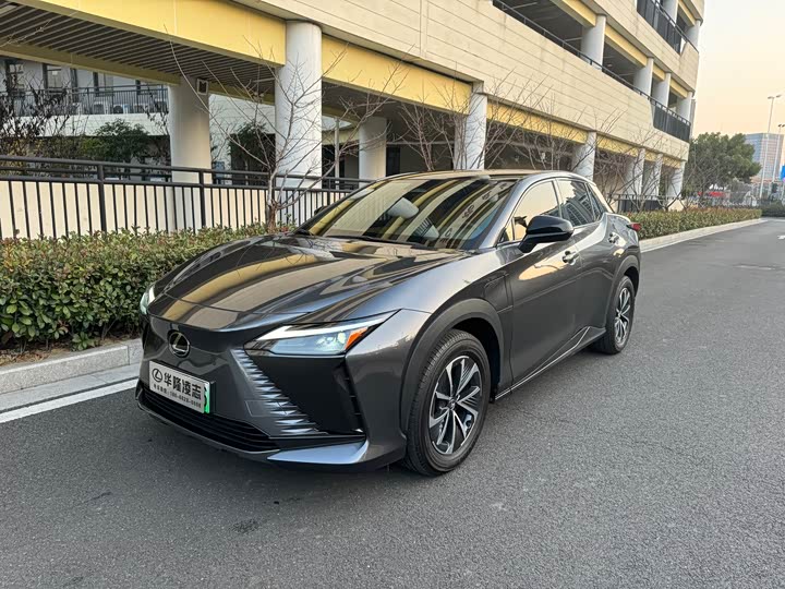 Фото 1 - Lexus RZ