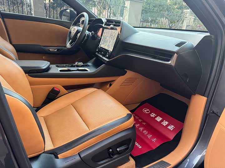 Фото 6 - Lexus RZ