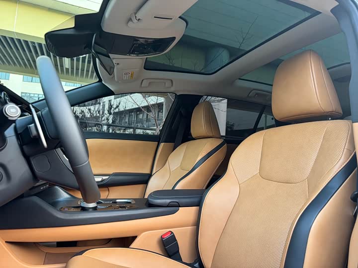 Фото 7 - Lexus RZ