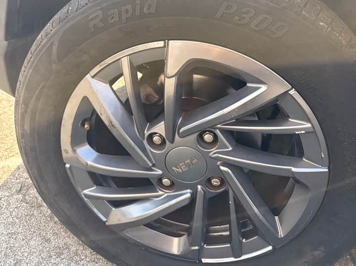 Фото 6 - Hozon V