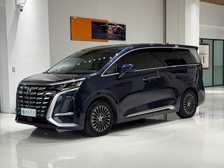 Фото 1 - Denza D9